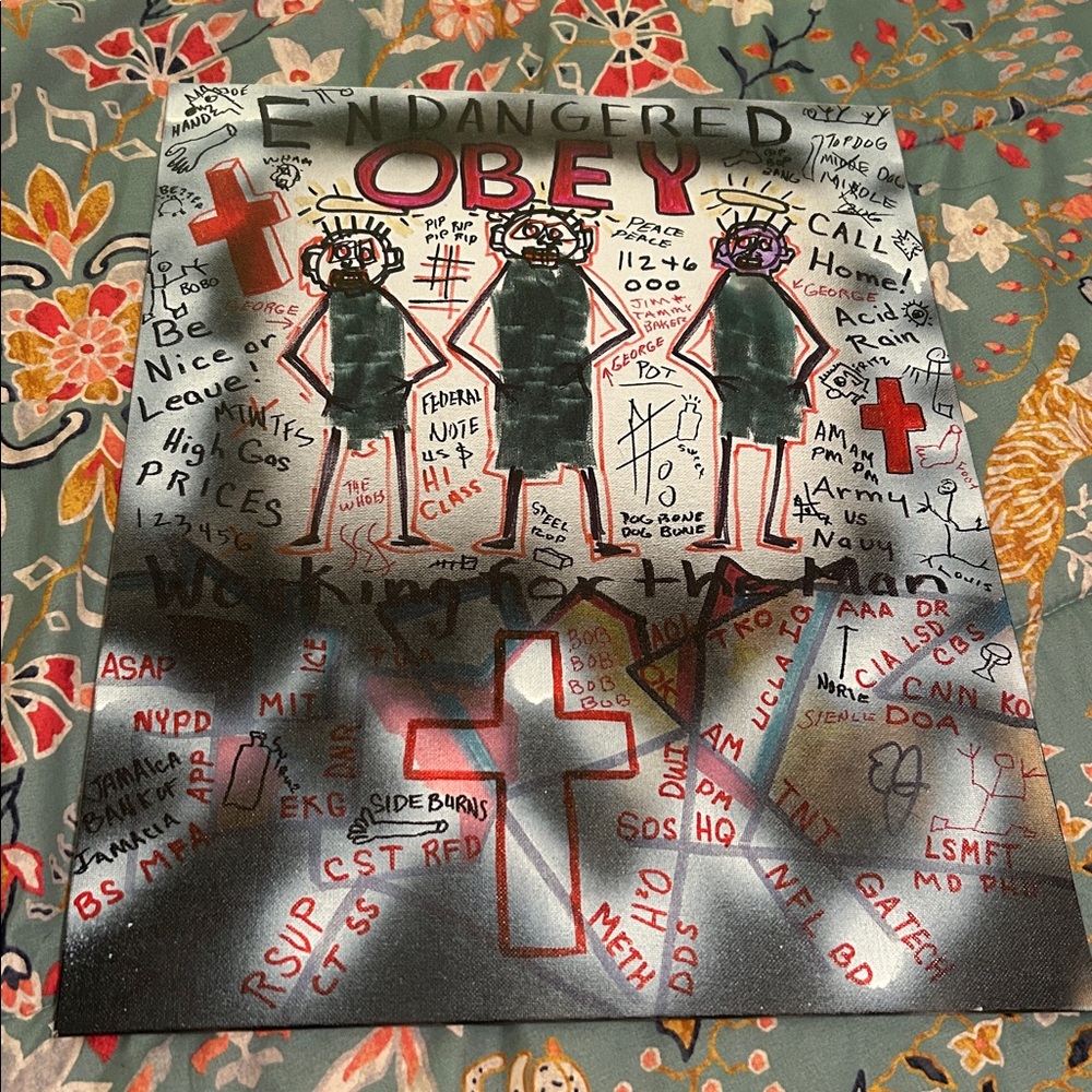 Obey Outsider Art